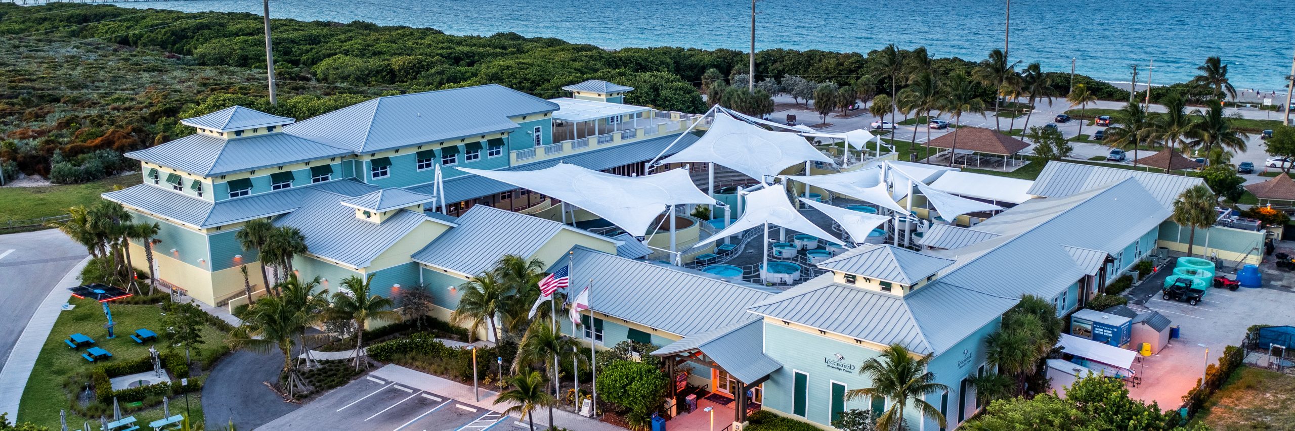 Visitors gathered at Loggerhead Marinelife Center