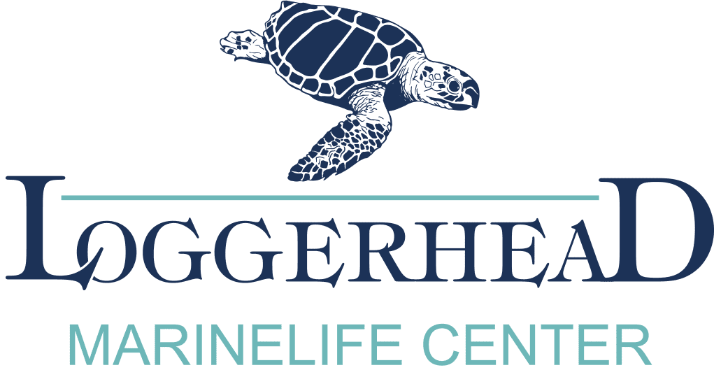Loggerhead Marinelife Center